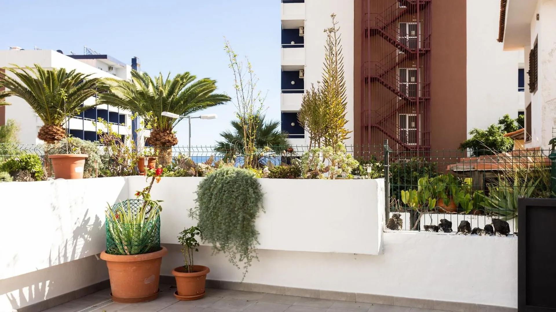 Live Caletillas Urb Los Corales Santa Cruz de Tenerife Spain